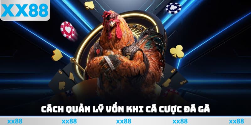 cách quản lý vốn khi cá cược đá gà